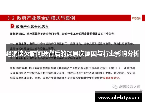 赵鹏谈欠薪问题背后的深层次原因与行业影响分析
